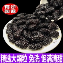 桑葚干黑桑椹免洗新鲜生桑果500g桑甚干即食泡水