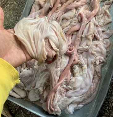 [羊肚批发]羊小肚,工厂做肚包肉修下来的材料,羊汤馆专用产品价格9.