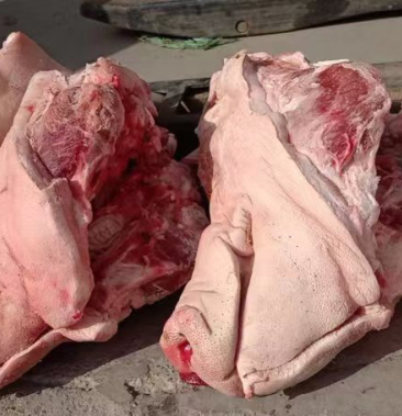 [猪头批发]无耳猪头猪头猪头猪头猪头猪头猪头猪头猪头价格6.