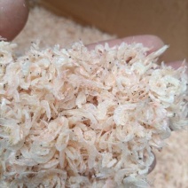 无盐淡干虾皮大号虾皮成都现货2000件价格美丽