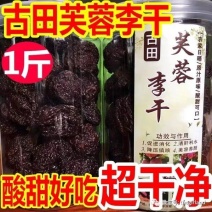 福建古田芙蓉李李干，个大肉厚酸甜口味