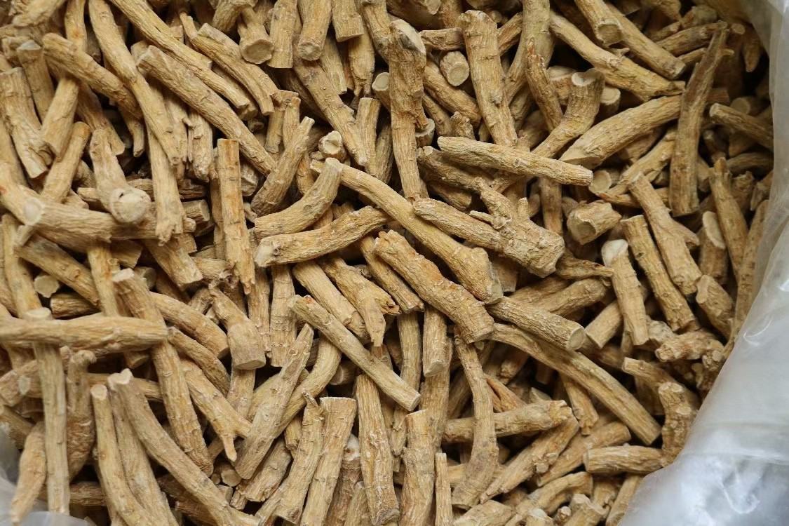 芦根和西洋参药材的特写图片