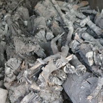苹果木木炭