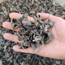 推荐木耳干货东北黑木耳批发头茬小碗耳秋木耳干货全国可发货