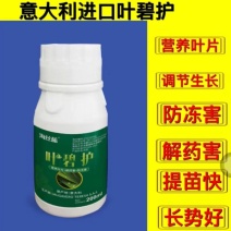 叶碧护叶面肥，营养叶片，解药害，防冻害，进口氨基酸水溶肥