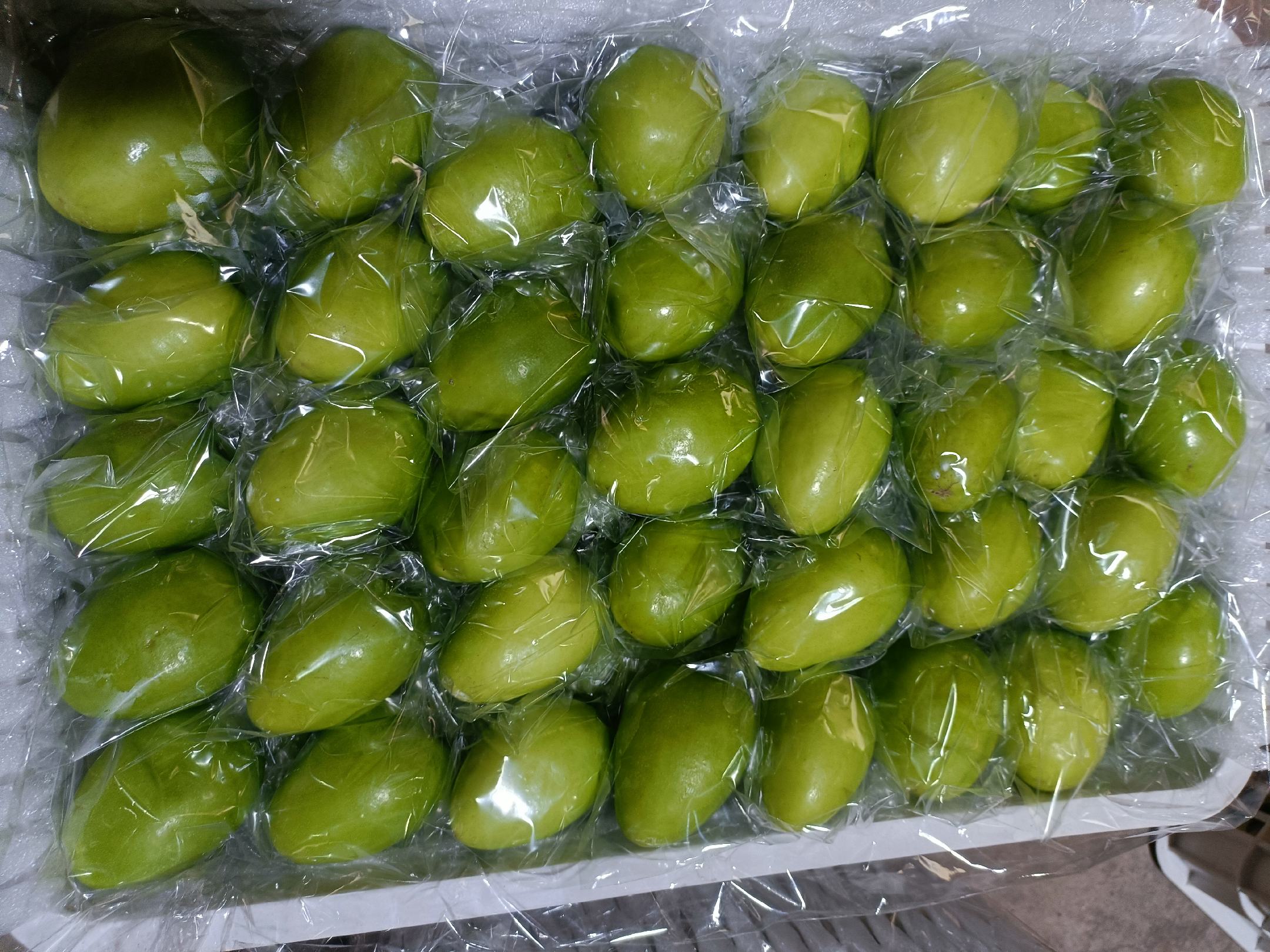 青枣果实特写