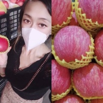 山东红富士苹果产地一手货源对接电商～商超～出口～边贸等