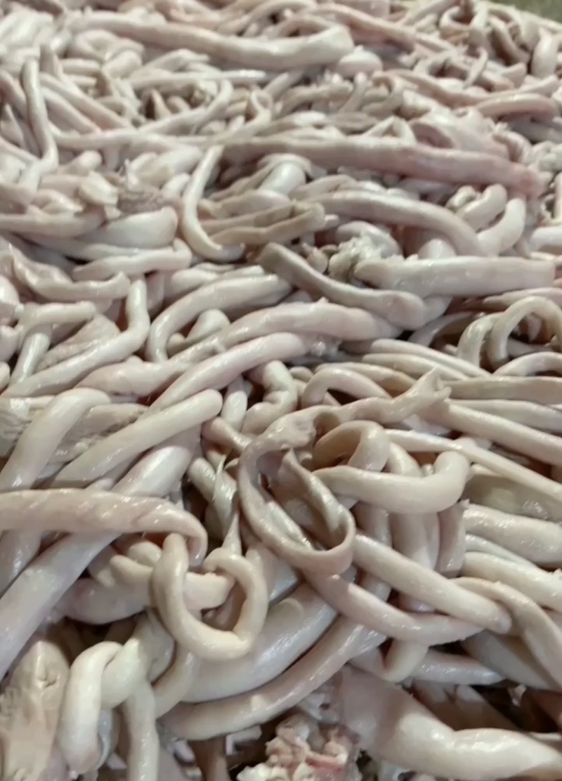 羊肠羊肠子五香十成熟羊肠子羊汤馆直发