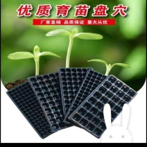 穴盘蔬菜育苗穴盘，各种规格穴盘应有尽有21-32-50孔