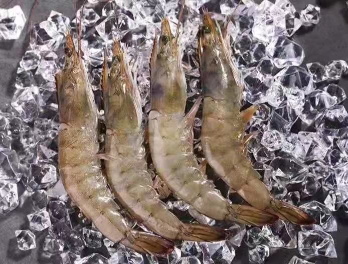 厨师正在处理新鲜对虾，戴手套去头剥壳，操作台清洁，背景有冰块和不锈钢容器