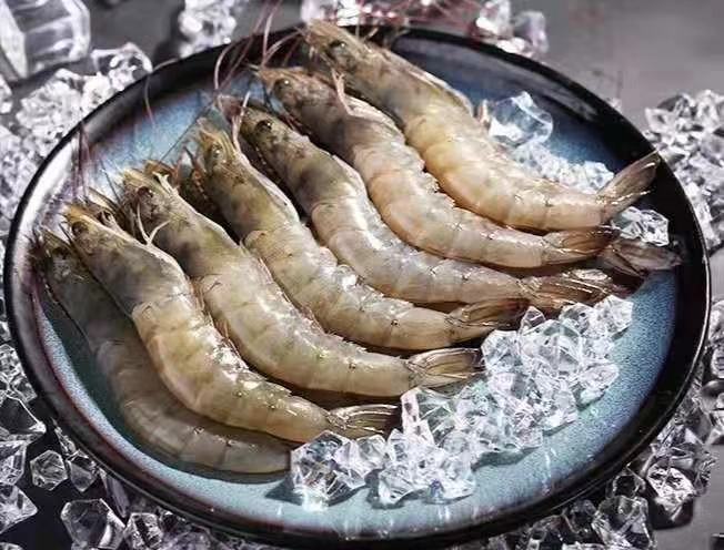甜虾与对虾的刺身摆盘对比图