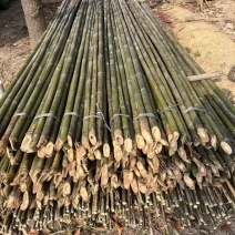 金竹，毛竹，大量现货，规格你来订，量大价优