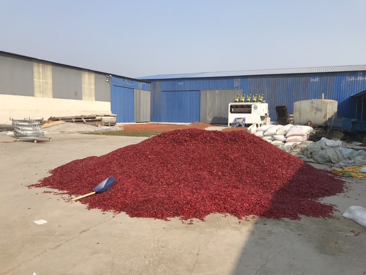 三樱椒晾晒场航拍图