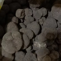 云南野生黑松露