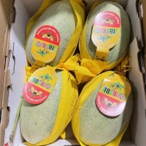 海南精品哈密瓜晓密25号精品二级瓜产地直发大量有货