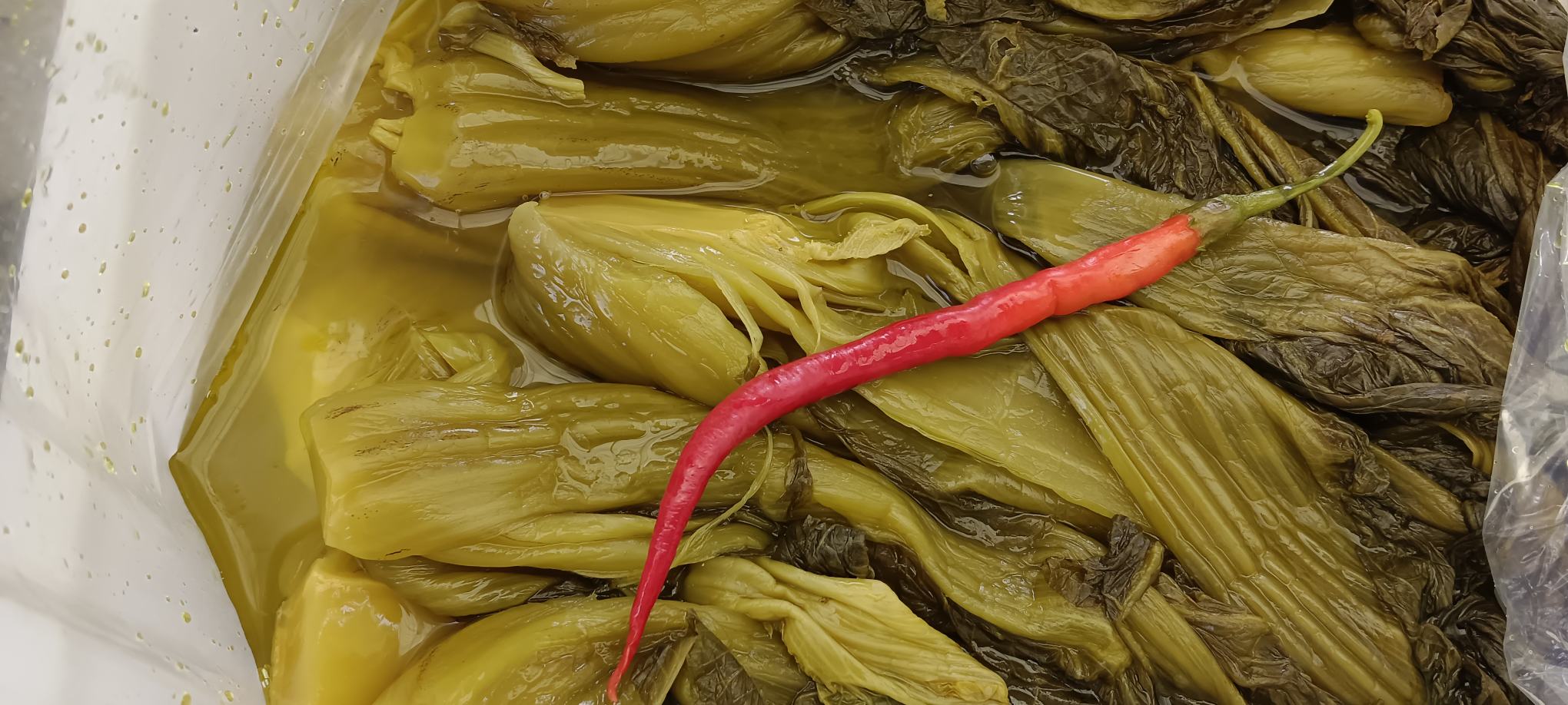 娃娃菜酸菜的多种吃法展示