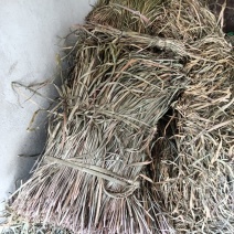 干品茴香菖蒲，五香草，三奈叶