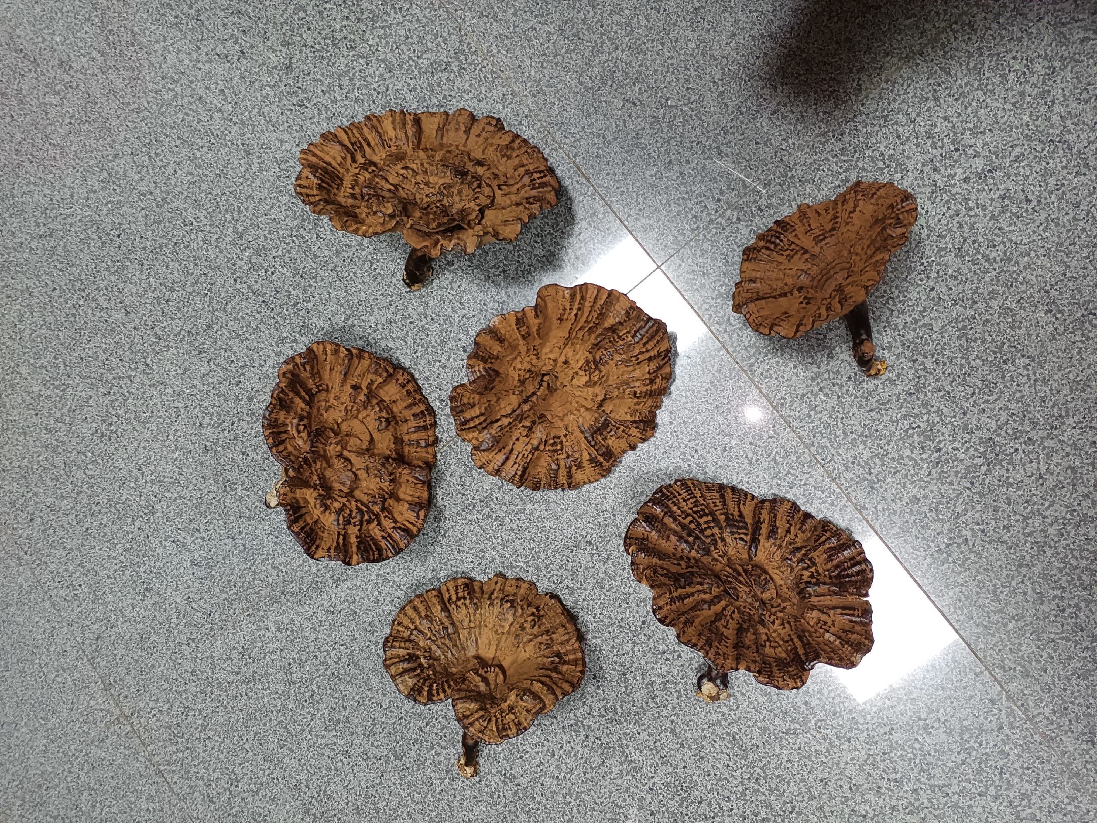中国芝麻灰石材厂家分布图