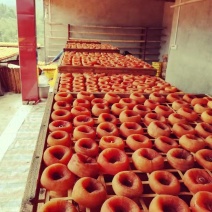 水晶柿饼大量上市，原产地柿饼桂林恭城平乐柿吊饼手工柿子饼
