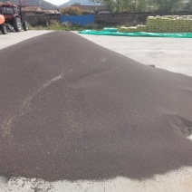 青海小油菜籽