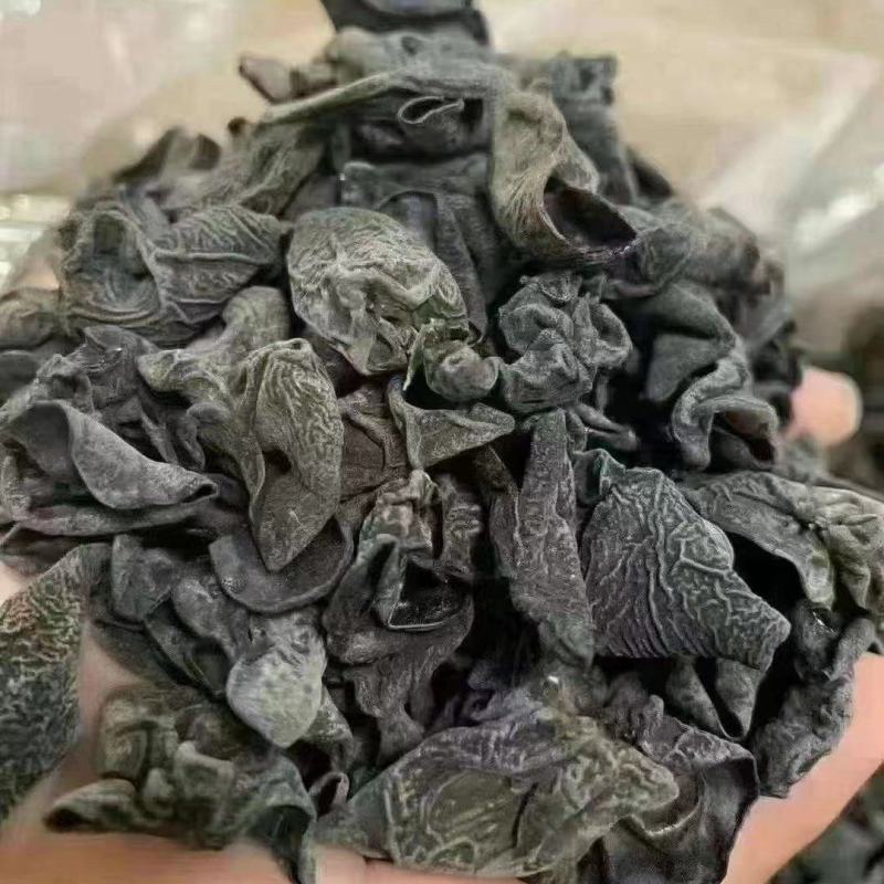 木耳批发市场