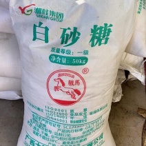 批发出售骏马湘桂一级白砂糖50公斤装量大价从优