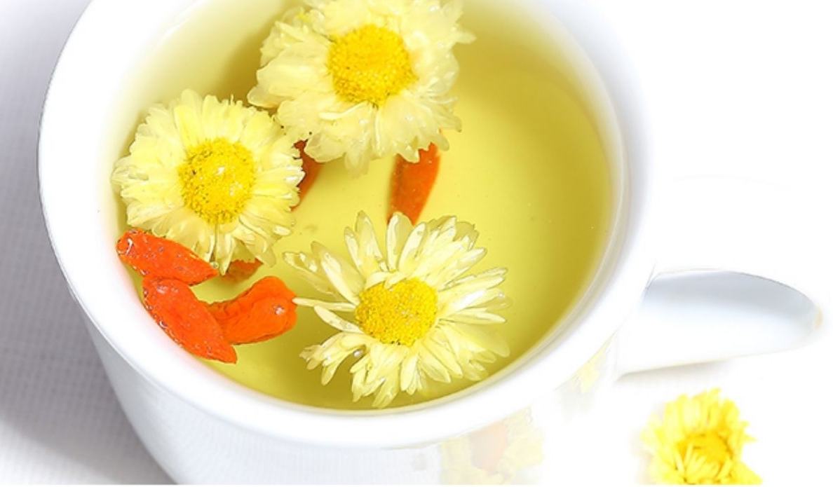 杭白菊茶饮示意图