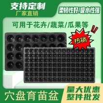加厚育苗盘草莓专用穴盘多肉月季扦插盘蔬菜培育盘育苗营养杯