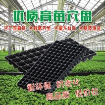 加厚育苗盘草莓专用穴盘多肉月季扦插盘蔬菜培育盘育苗营养杯