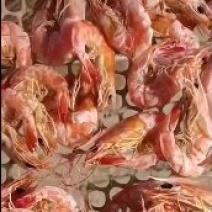 烘干虾，