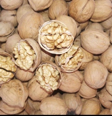 [薄皮核桃批发]山西核桃 产地直发 一手货源 保质保量 欢迎选购价格6.