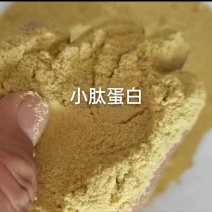 小肽蛋白，蛋白80以上，铵盐4以内。