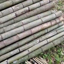 量大，有想法的欢迎砸单，，，，，，，，，，，