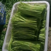 芦蒿