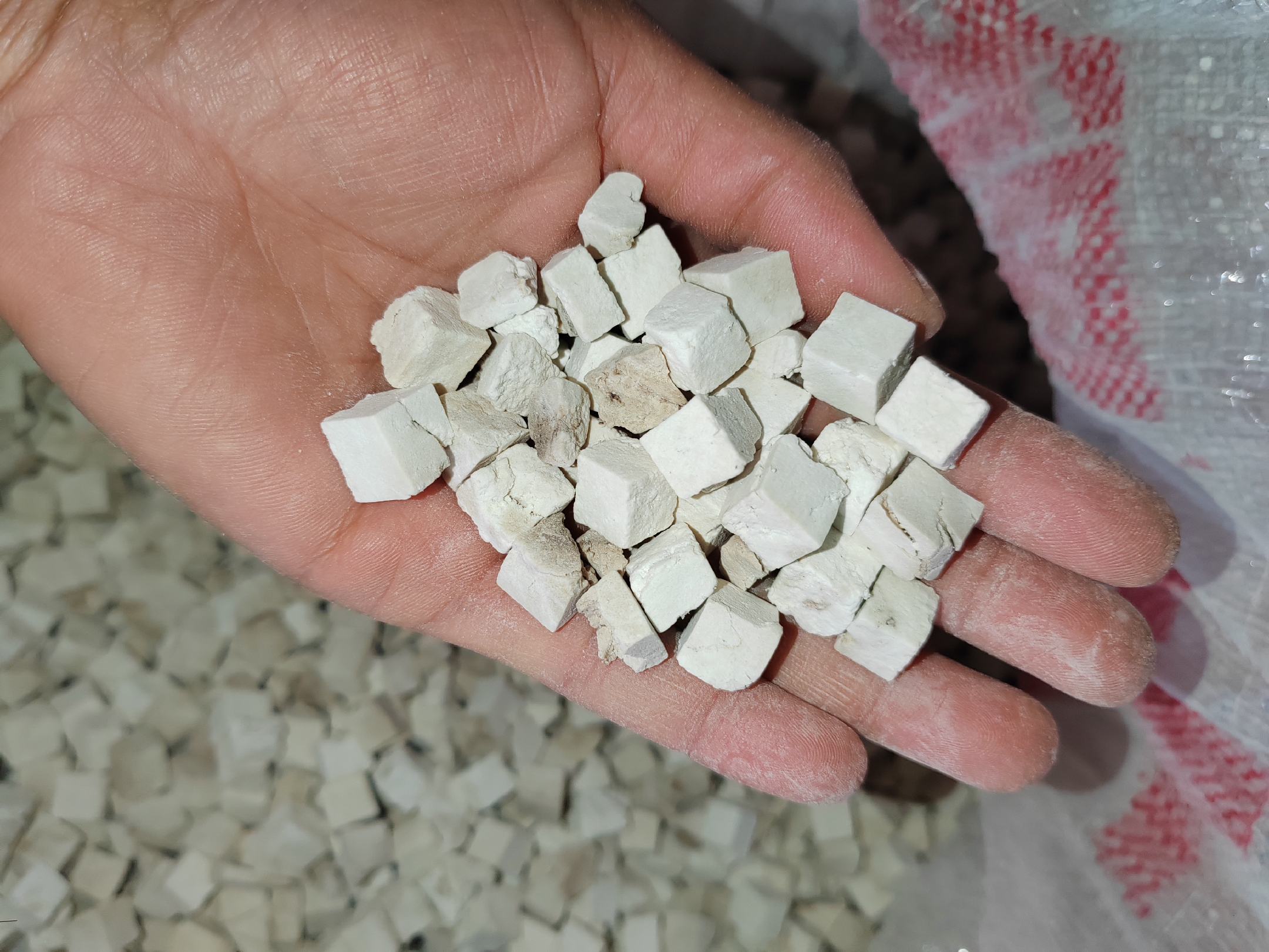 三七与茯苓的中药材图示