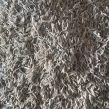长粒谷壳