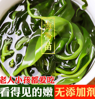 [海带芽批发]霞浦海带苗嫩苗特级新鲜非干货嫩芽盐渍小海带火锅凉拌