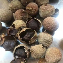 荔枝干