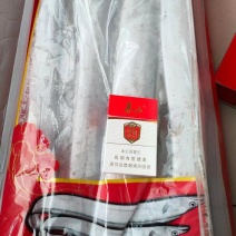 舟山帶魚大量批發