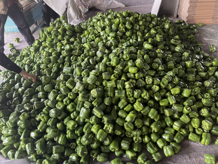 青圆椒的清洗与切法