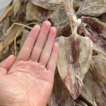 鱿鱼干