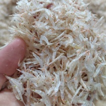 特级高钙淡干虾皮水产干货补钙虾米新鲜无盐即食