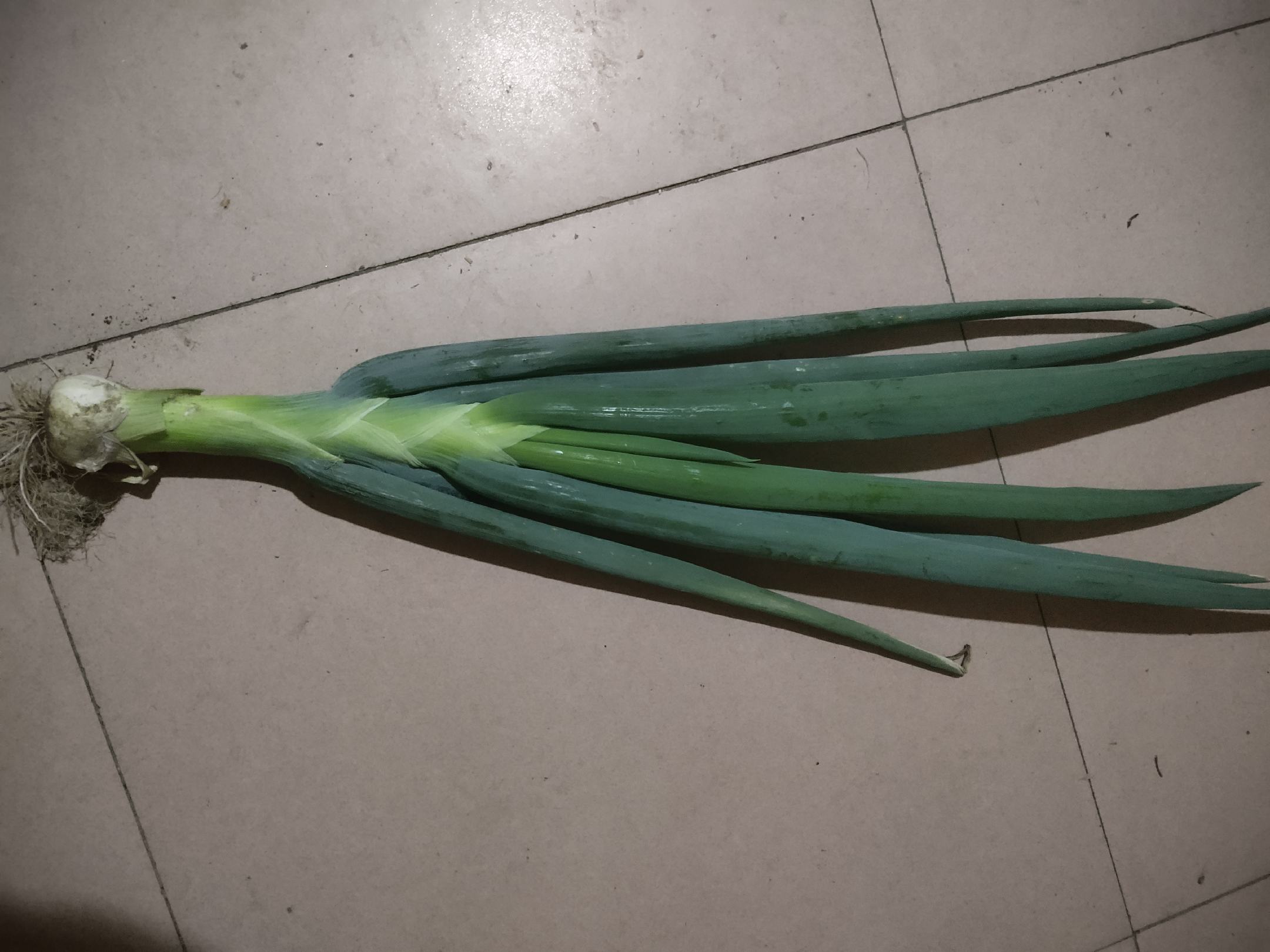 香煎大葱鸡腿成品图