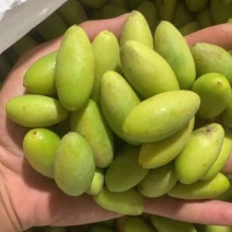 潮汕现摘橄榄，生吃，榨汁，煲汤，腌制