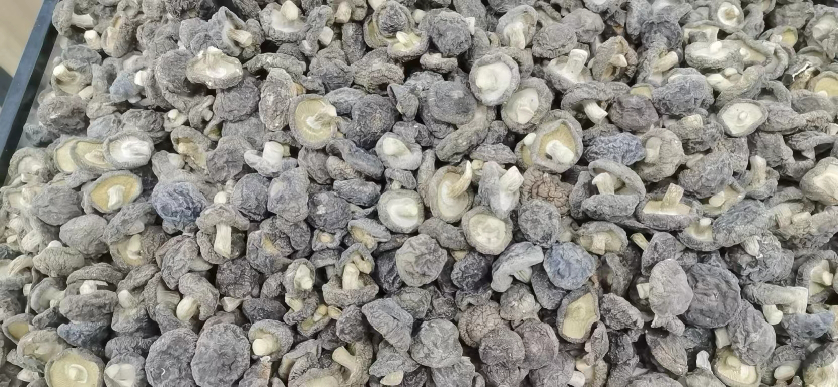 庆元花菇特写图片