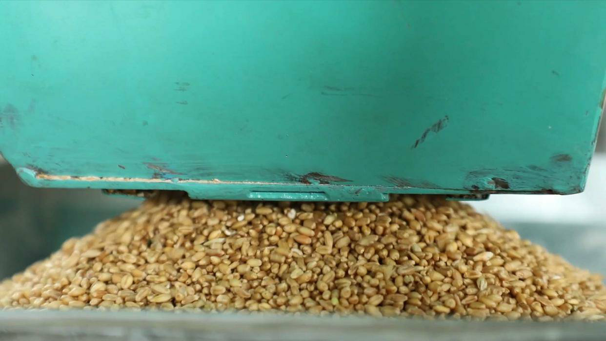 小麦深加工产业链图