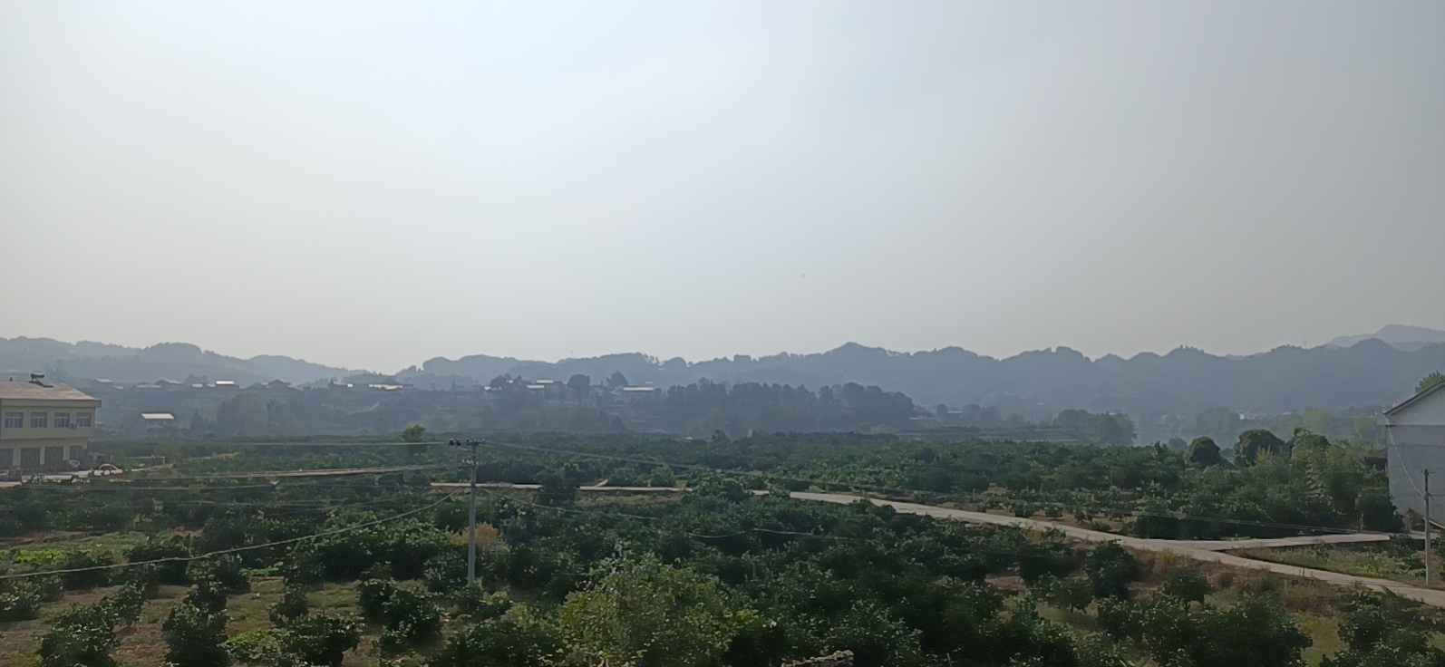 中国地图上标注出冰糖橙甜橙主要产区:云南华宁、广西百色、四川盐边,配以气候数据图标(温度、降水、日照),并用渐变色表示糖酸比水平,从浅黄(12:1)到深橙(20:1) 中国冰糖橙甜橙主产区分布地图