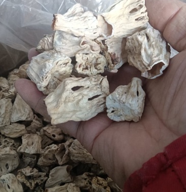 [猪肚菇批发]大量批发羊肚菌柄价格26.00元/斤 - 一亩田