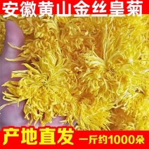 【黄山发货】无硫金丝皇菊手选金丝皇菊500克袋装包邮