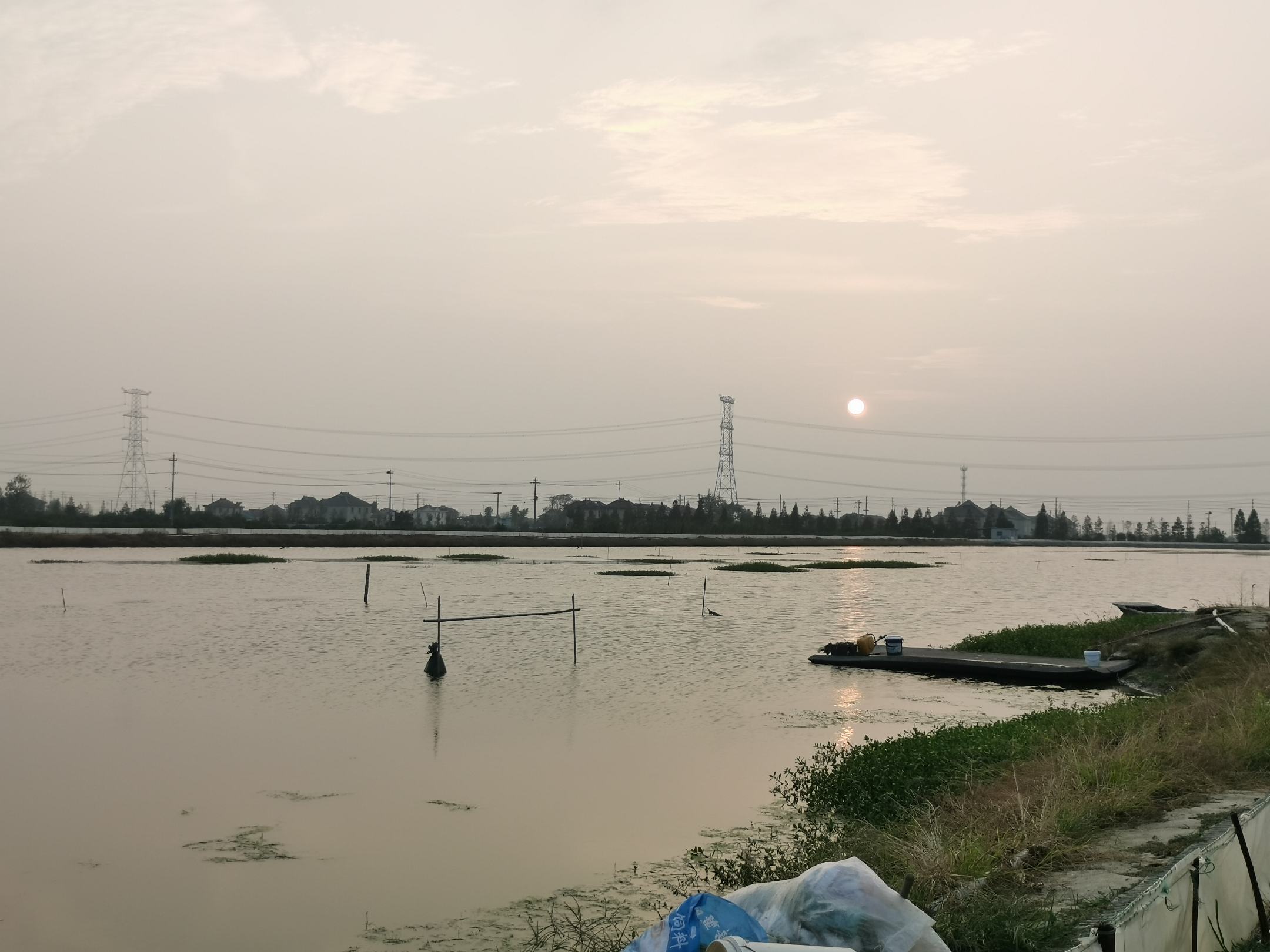 对虾健康养殖管理档案